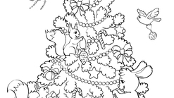 Kolorowanka: rse4we6dr5